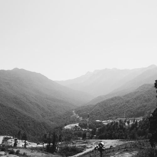 Photo #3120680