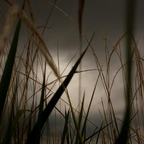 Dream on rain