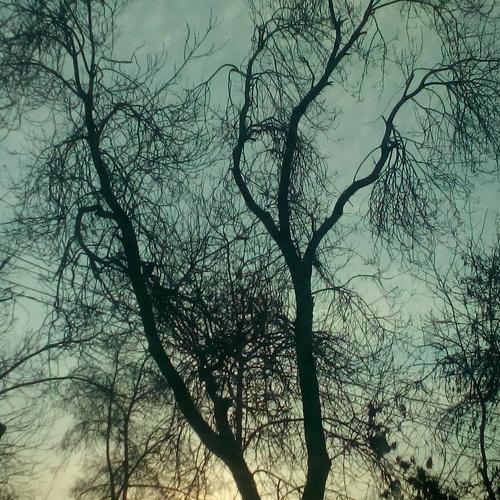 Photo #3121179