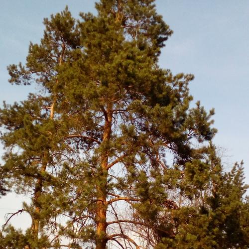 Photo #3121182