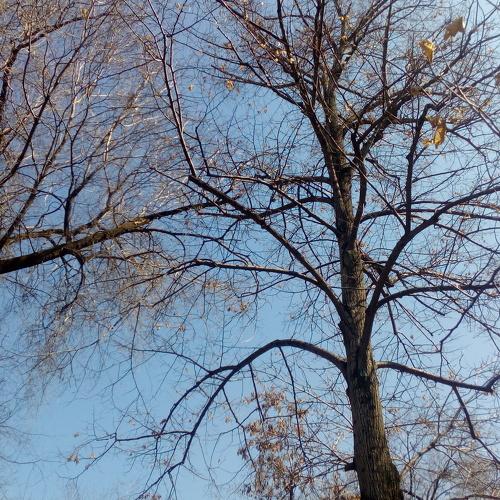 Photo #3121188