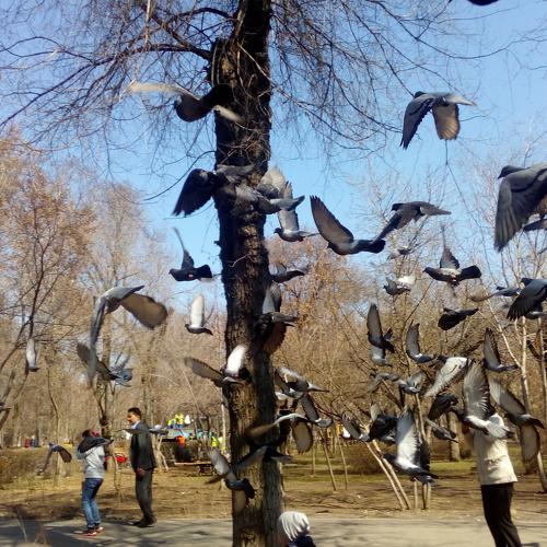 Photo #3121193