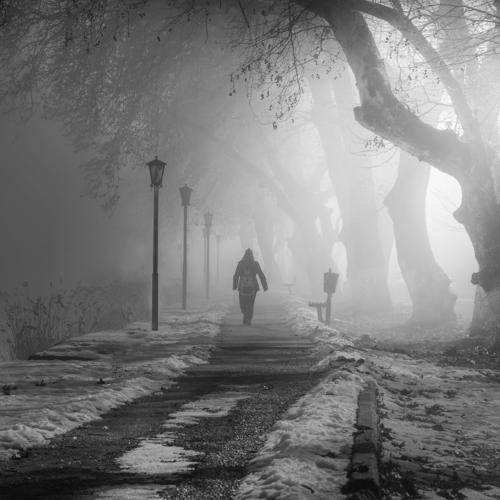 Foggy Path