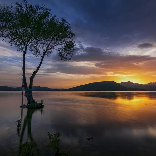 Serenity