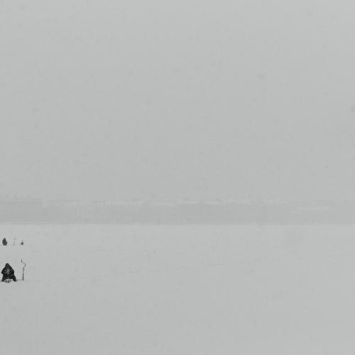 Photo #3121420