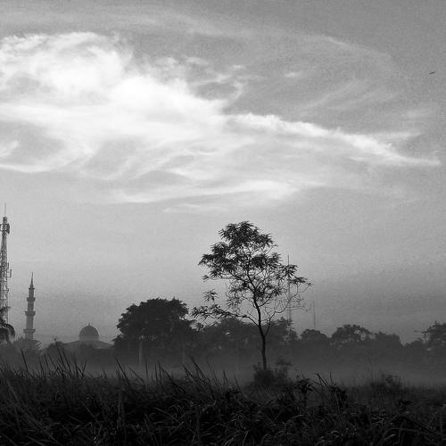 Landscape black and white