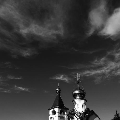 Photo #3122059