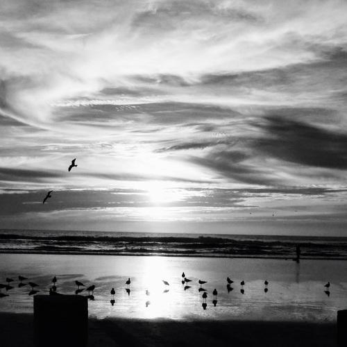 Sunset in B&W