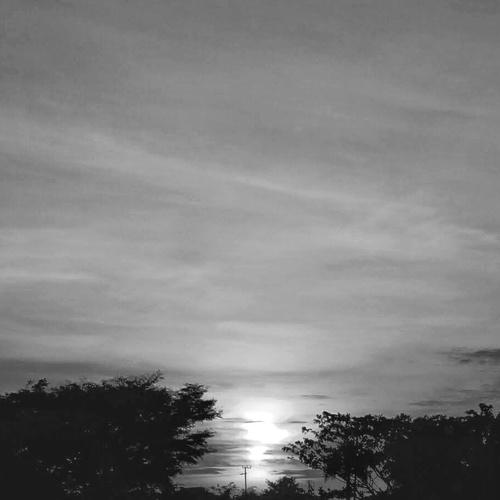 Landscape black and white