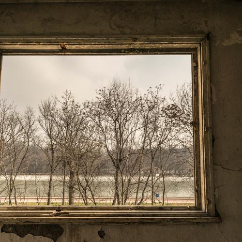 A window to life