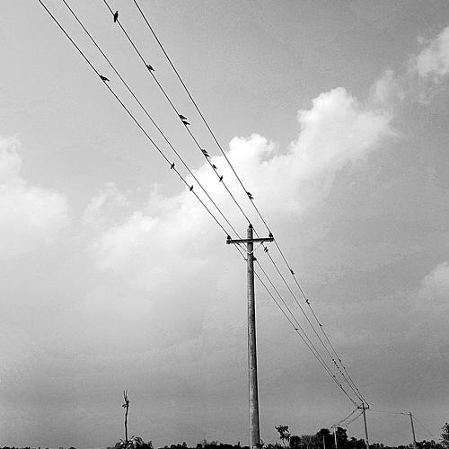Photo #3123777