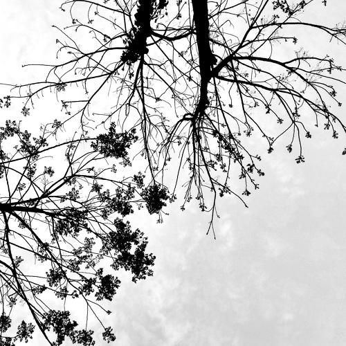Photo #3123780