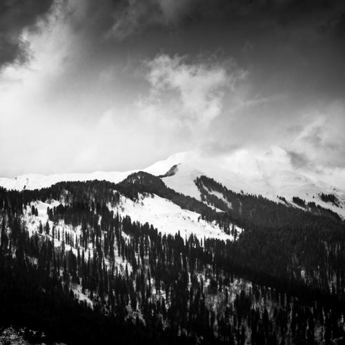 monochromatic Ice