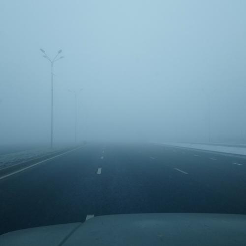 Morning fog