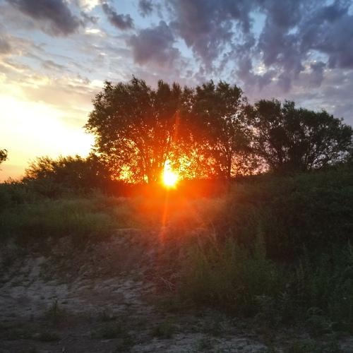 Sunrise