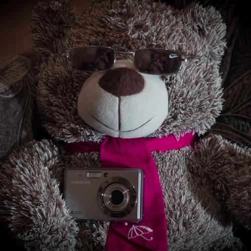Photo #3124785