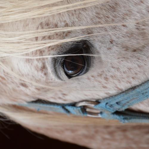 Photo #3126042