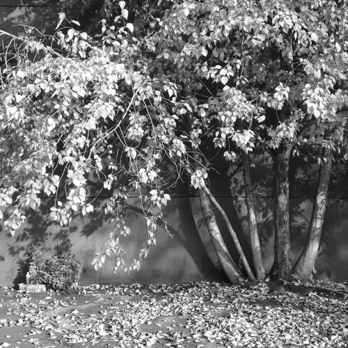 Photo #3126332