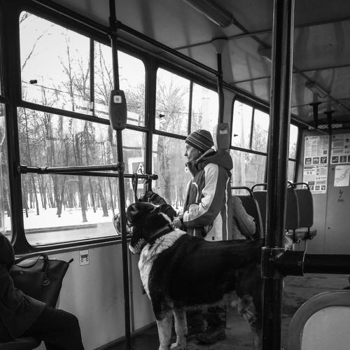 Думаем о вечном