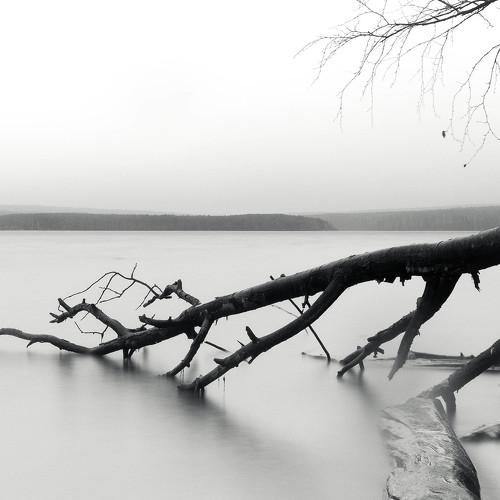 Silence