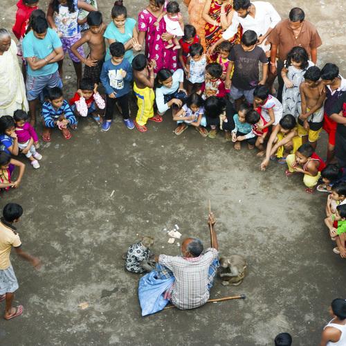 Monkey dance in Calcutta