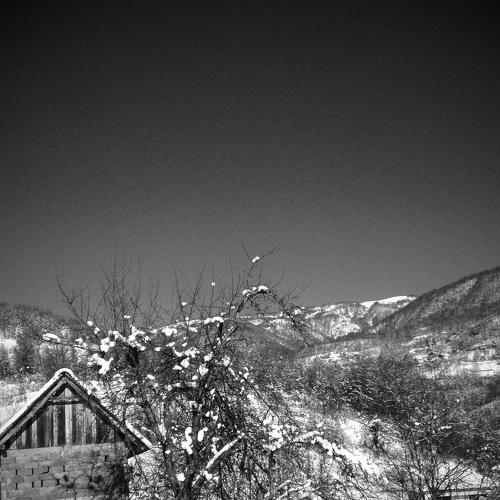 Black and white winter photo