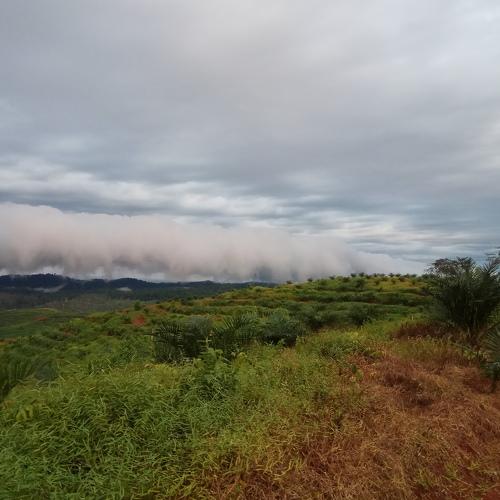 Low Cloud