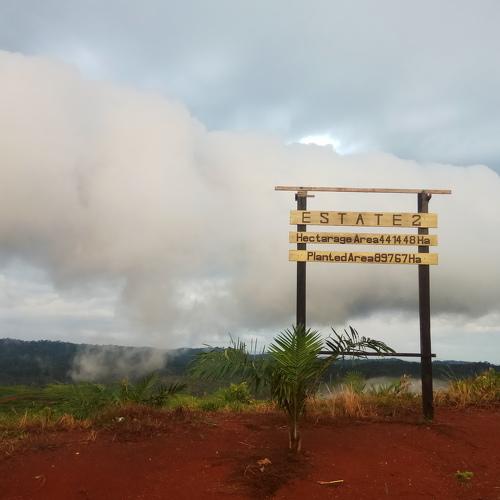Low Cloud