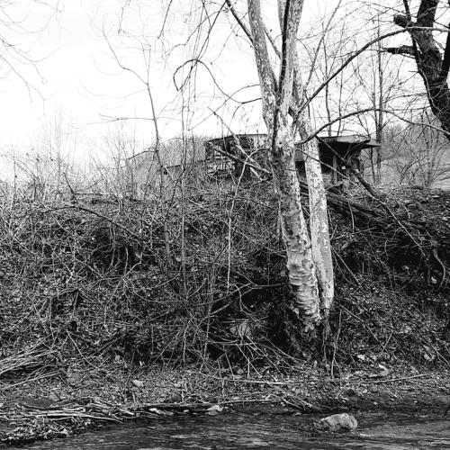 Photo #3130273