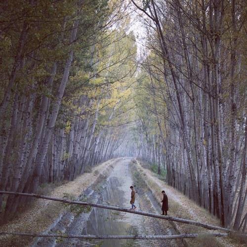 Autumn