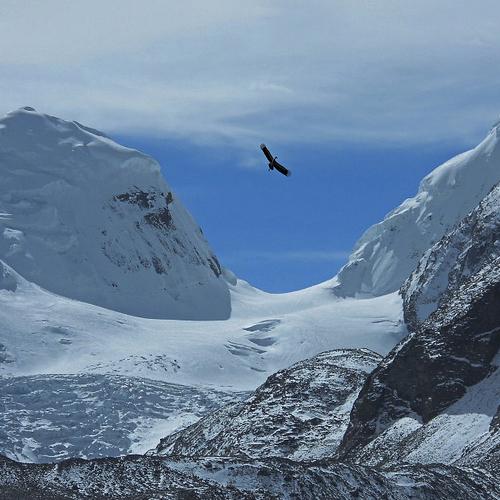 Mountain Traveller