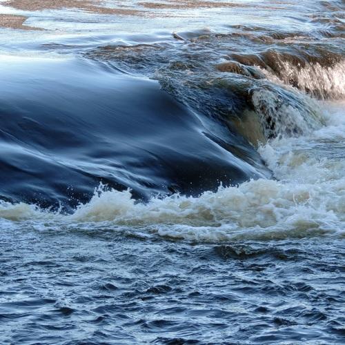 Fuerza Natural