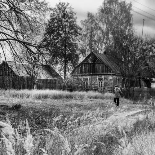 Photo #3133018