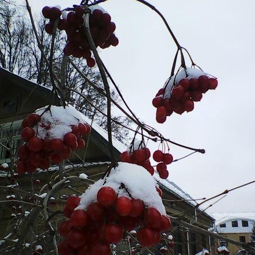 Зима в монастыре