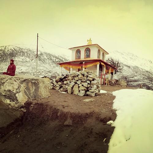 Himalayan life
