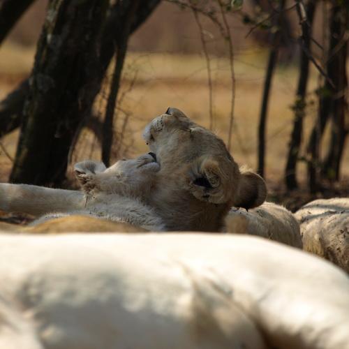 Photo #3135196