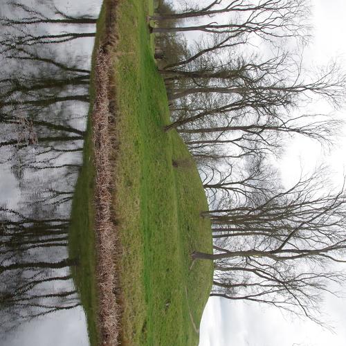 Mirroring
