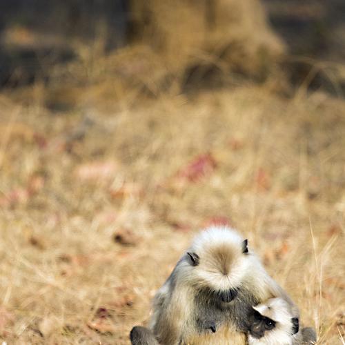 The Beauty of motherhood!!
