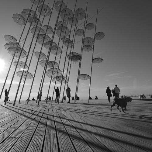 Shadows and umbrellas