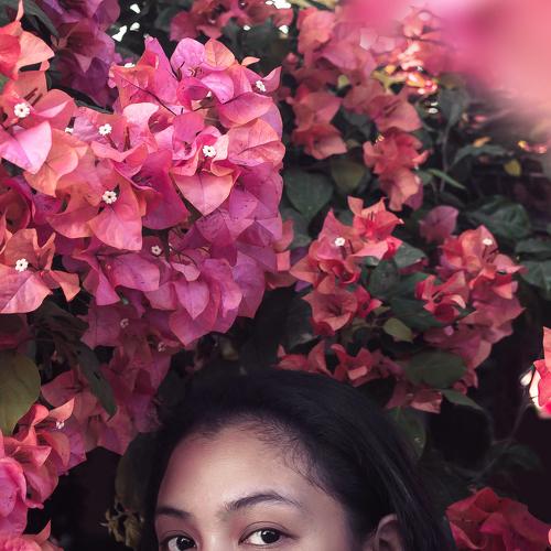 Bloom