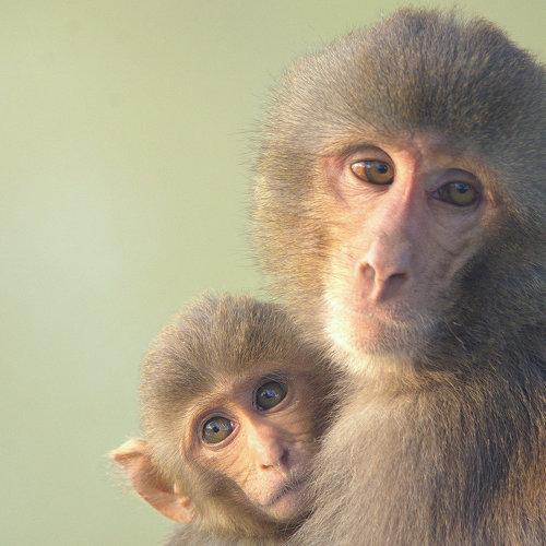 Mom and Son