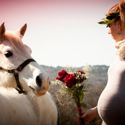 Pregnancy II