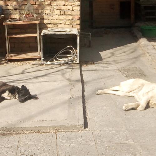 Photo #3140603
