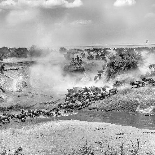 Mara crossing