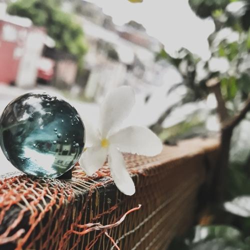 Ball Perspective