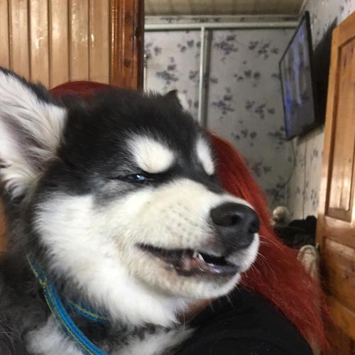 Photo #3141728