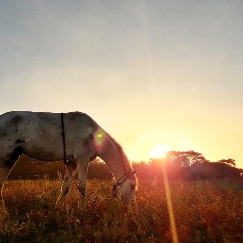 Momentos