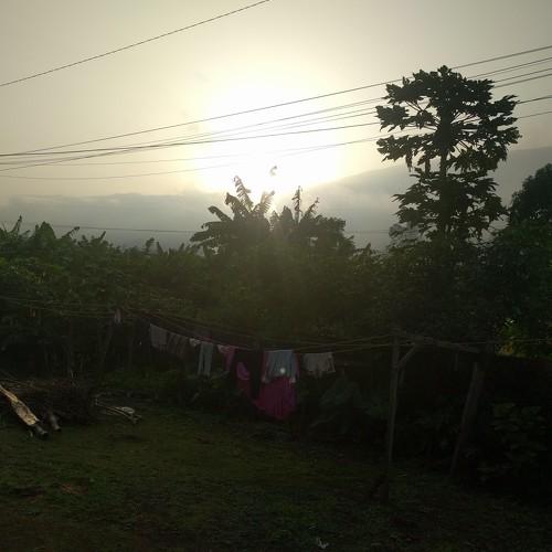 The sun