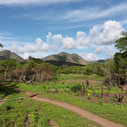 Peaceful Mountains