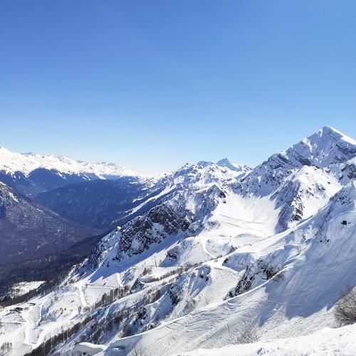 Photo #3150548